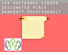 Las Haciendas  bankrott rechtsanwalt