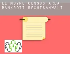 Le Moyne (census area)  bankrott rechtsanwalt