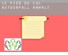 Le Pied du Col  Autounfall Anwalt