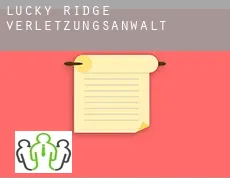 Lucky Ridge  verletzungsanwalt
