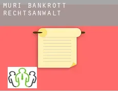 Muri AG  bankrott rechtsanwalt