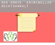 Oak Grove  krimineller rechtsanwalt