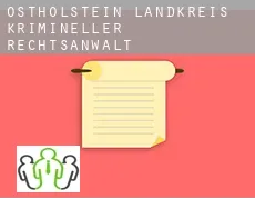 Ostholstein Landkreis  krimineller rechtsanwalt
