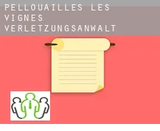 Pellouailles-les-Vignes  verletzungsanwalt