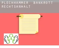 Plechhammer  bankrott rechtsanwalt