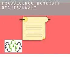 Pradoluengo  bankrott rechtsanwalt