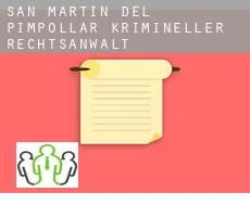 San Martín del Pimpollar  krimineller rechtsanwalt