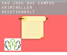 São José dos Campos krimineller rechtsanwalt