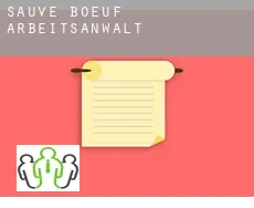 Sauve-Bœuf  arbeitsanwalt