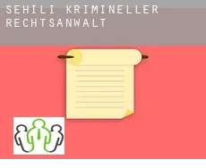 Sehili  krimineller rechtsanwalt