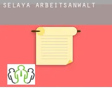 Selaya  arbeitsanwalt