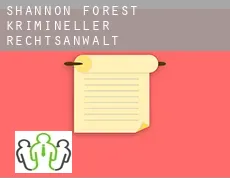 Shannon Forest  krimineller rechtsanwalt