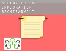 Shelby Forest immigration rechtsanwalt