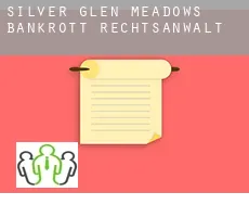 Silver Glen Meadows  bankrott rechtsanwalt