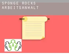 Sponge Rocks  arbeitsanwalt