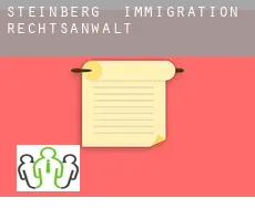 Steinberg  immigration rechtsanwalt