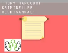 Thury-Harcourt  krimineller rechtsanwalt