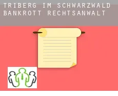 Triberg im Schwarzwald  bankrott rechtsanwalt