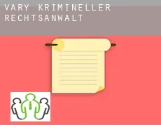 Vary  krimineller rechtsanwalt