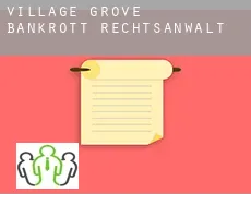 Village Grove  bankrott rechtsanwalt