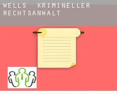 Wells  krimineller rechtsanwalt