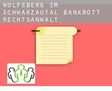 Wolfsberg im Schwarzautal bankrott rechtsanwalt
