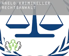 Departamento de Añelo  krimineller rechtsanwalt