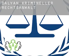 Dalyan  krimineller rechtsanwalt