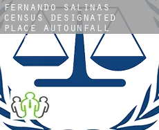 Fernando Salinas  Autounfall Anwalt