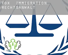 Fox  immigration rechtsanwalt