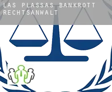 Las Plassas  bankrott rechtsanwalt