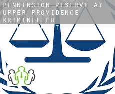 Pennington Reserve at Upper Providence  krimineller rechtsanwalt