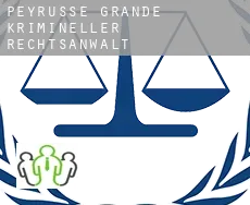 Peyrusse-Grande  krimineller rechtsanwalt