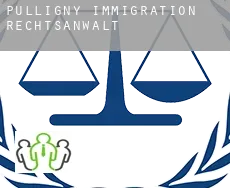 Pulligny  immigration rechtsanwalt