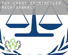 Puy Chany  krimineller rechtsanwalt