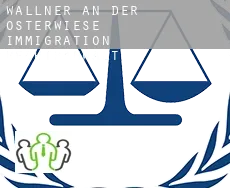 Wallner an der Osterwiese  immigration rechtsanwalt