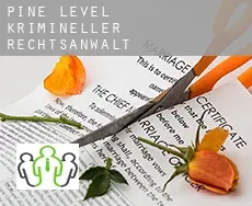 Pine Level krimineller rechtsanwalt