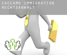 Caccamo  immigration rechtsanwalt