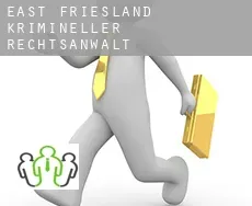 East Friesland  krimineller rechtsanwalt