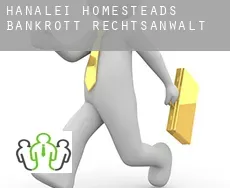 Hanalei Homesteads  bankrott rechtsanwalt
