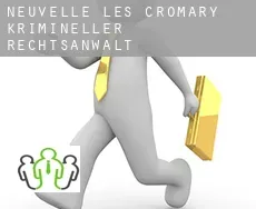 Neuvelle-lès-Cromary  krimineller rechtsanwalt