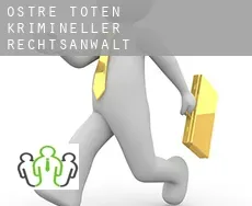 Østre Toten  krimineller rechtsanwalt