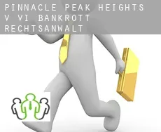 Pinnacle Peak Heights V-VI  bankrott rechtsanwalt