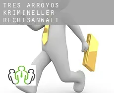 Tres Arroyos  krimineller rechtsanwalt