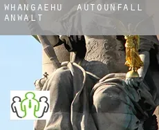 Whangaehu Autounfall Anwalt