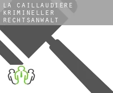 La Caillaudière  krimineller rechtsanwalt