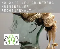 Kolonie Neu Grüneberg  krimineller rechtsanwalt