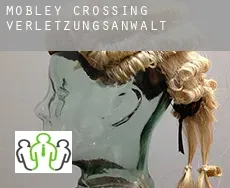 Mobley Crossing  verletzungsanwalt