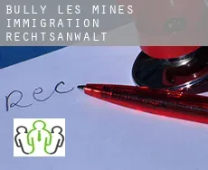 Bully-les-Mines  immigration rechtsanwalt