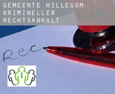 Gemeente Hillegom krimineller rechtsanwalt